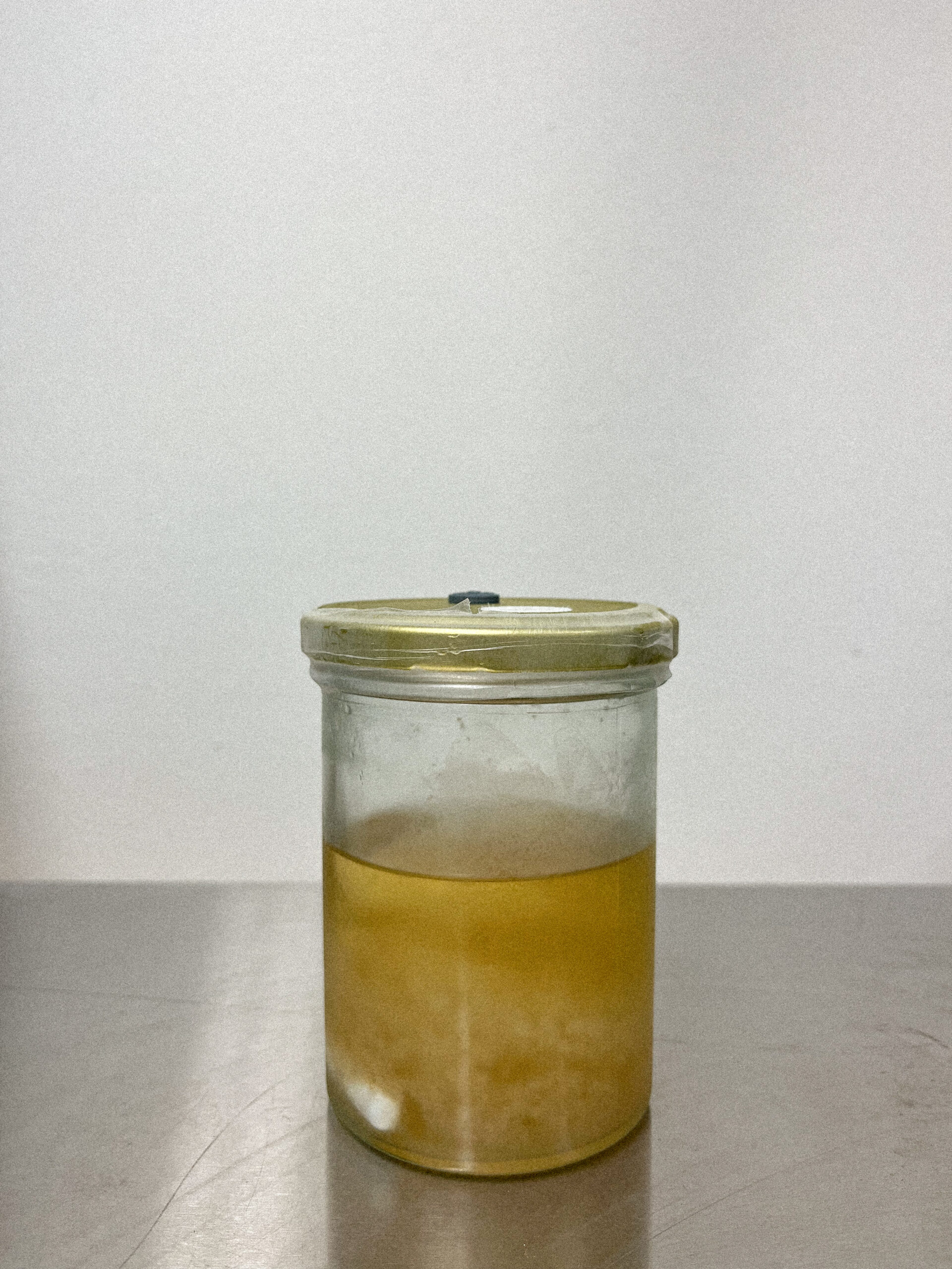 Ein Glas mit Flüssigmyzel von Lions Mane, Igelstachelbart, hergestellt von der Pilzfarm BetterMyco aus Würzburg