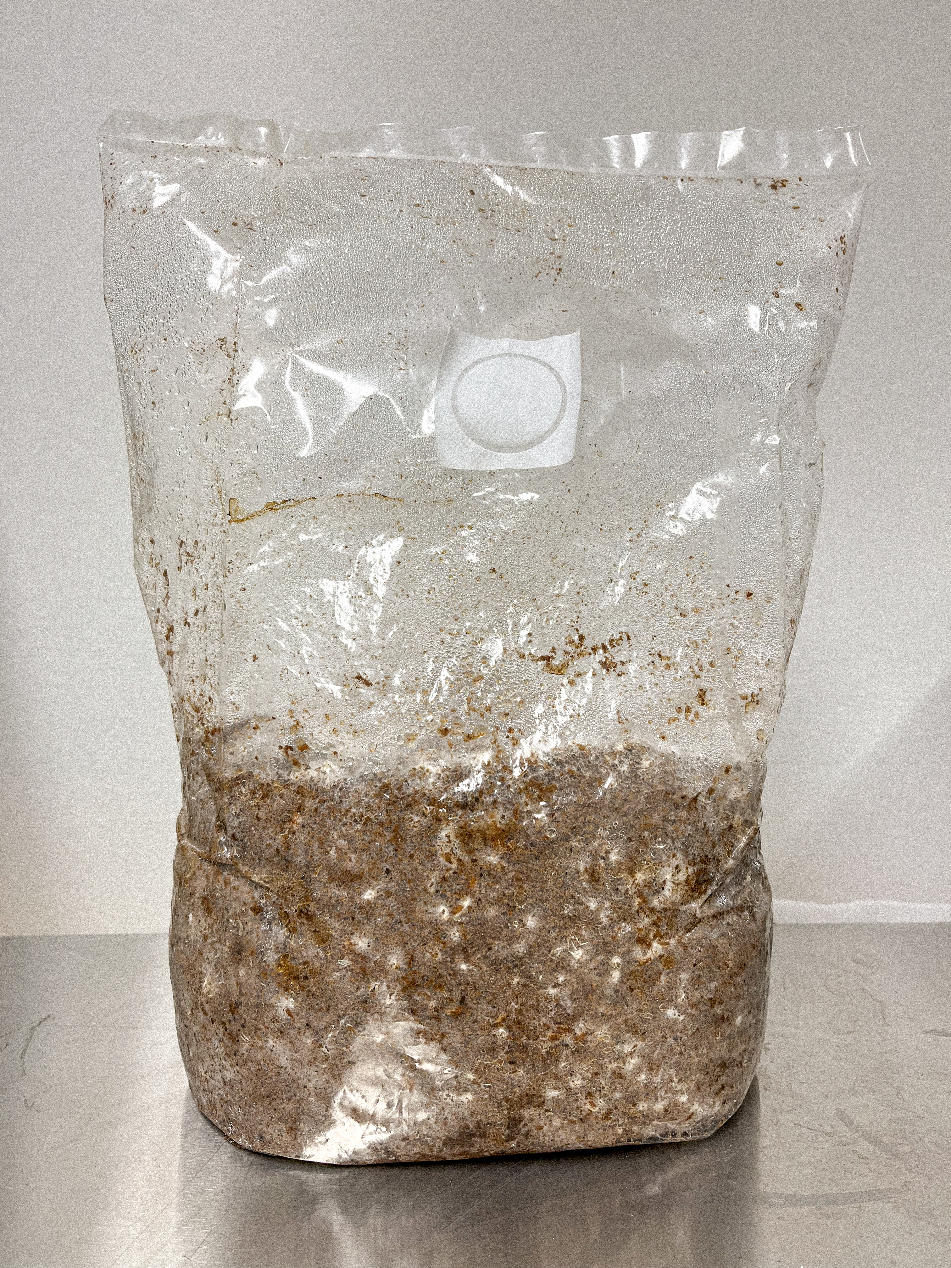 Ein Beutel mit Substrat und durchgewachsenem Myzel, hergestellt von der Pilzfarm BetterMyco aus Würzburg