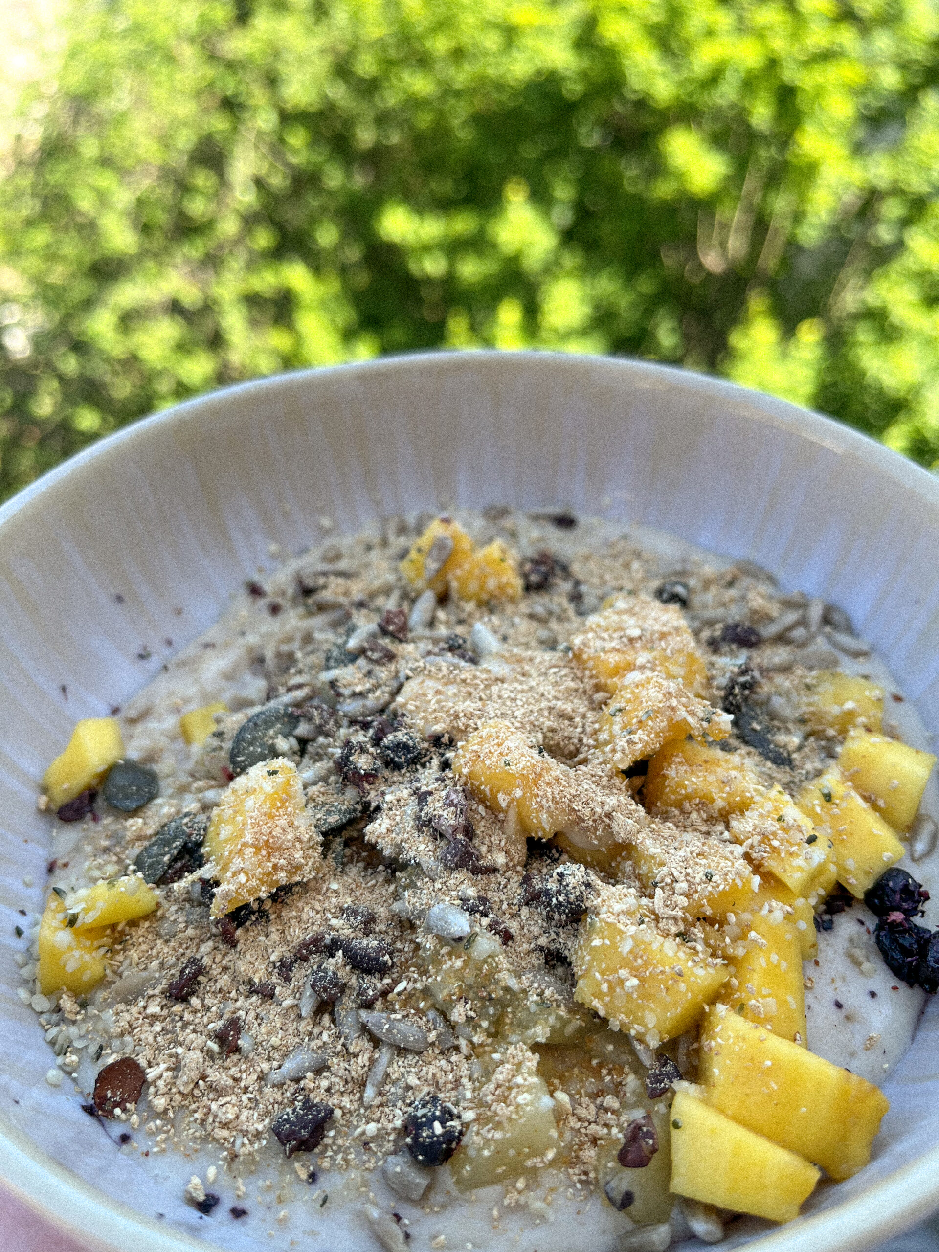 Leckers und gesundes Porridge mit Früchten und zarten Pulver aus Lions Mane und Igelstachelbart von BetterMyco