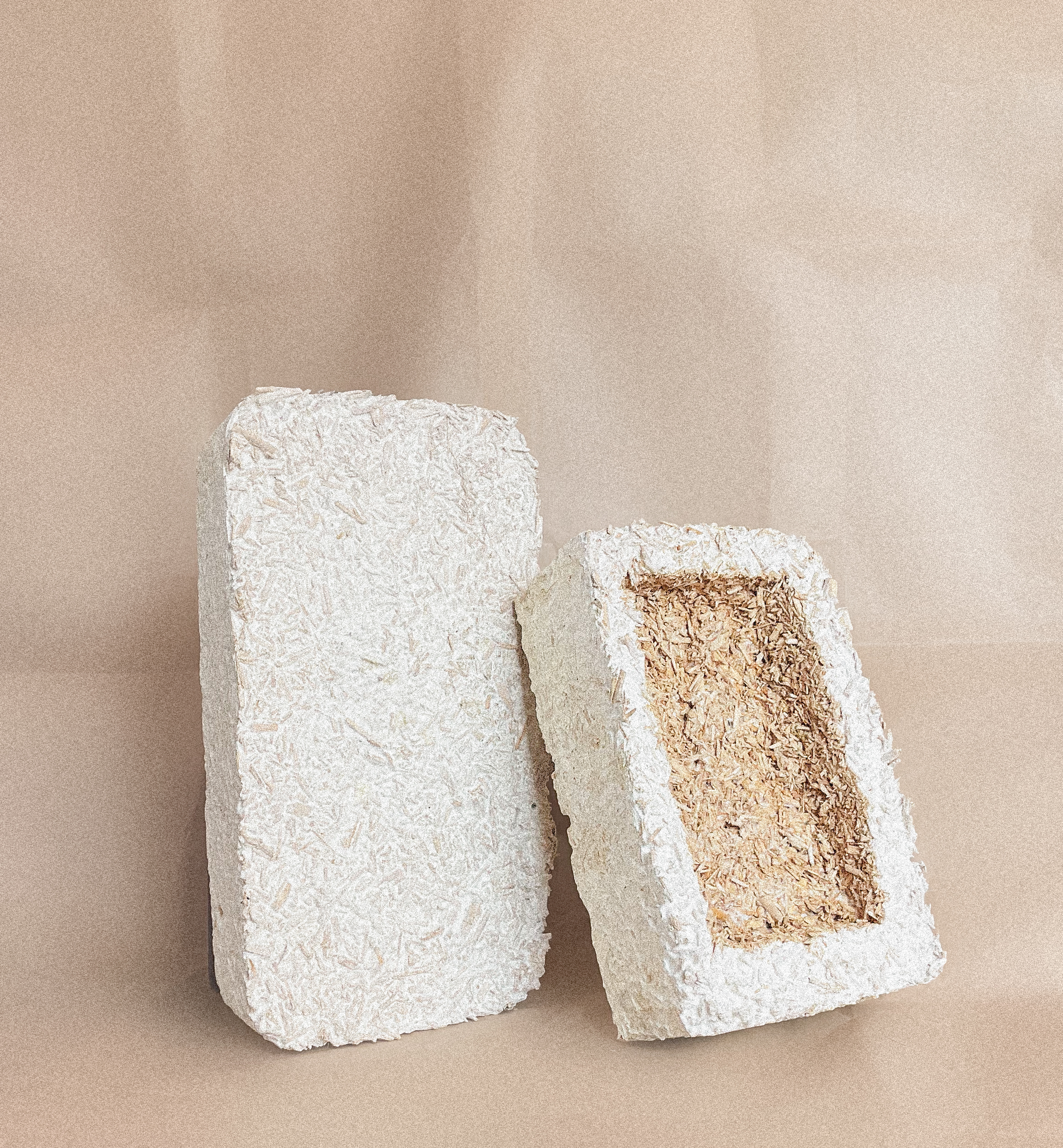 Nachhaltiges Verpackungsmaterial aus Pilzmyzel, hergestellt von BetterMyco