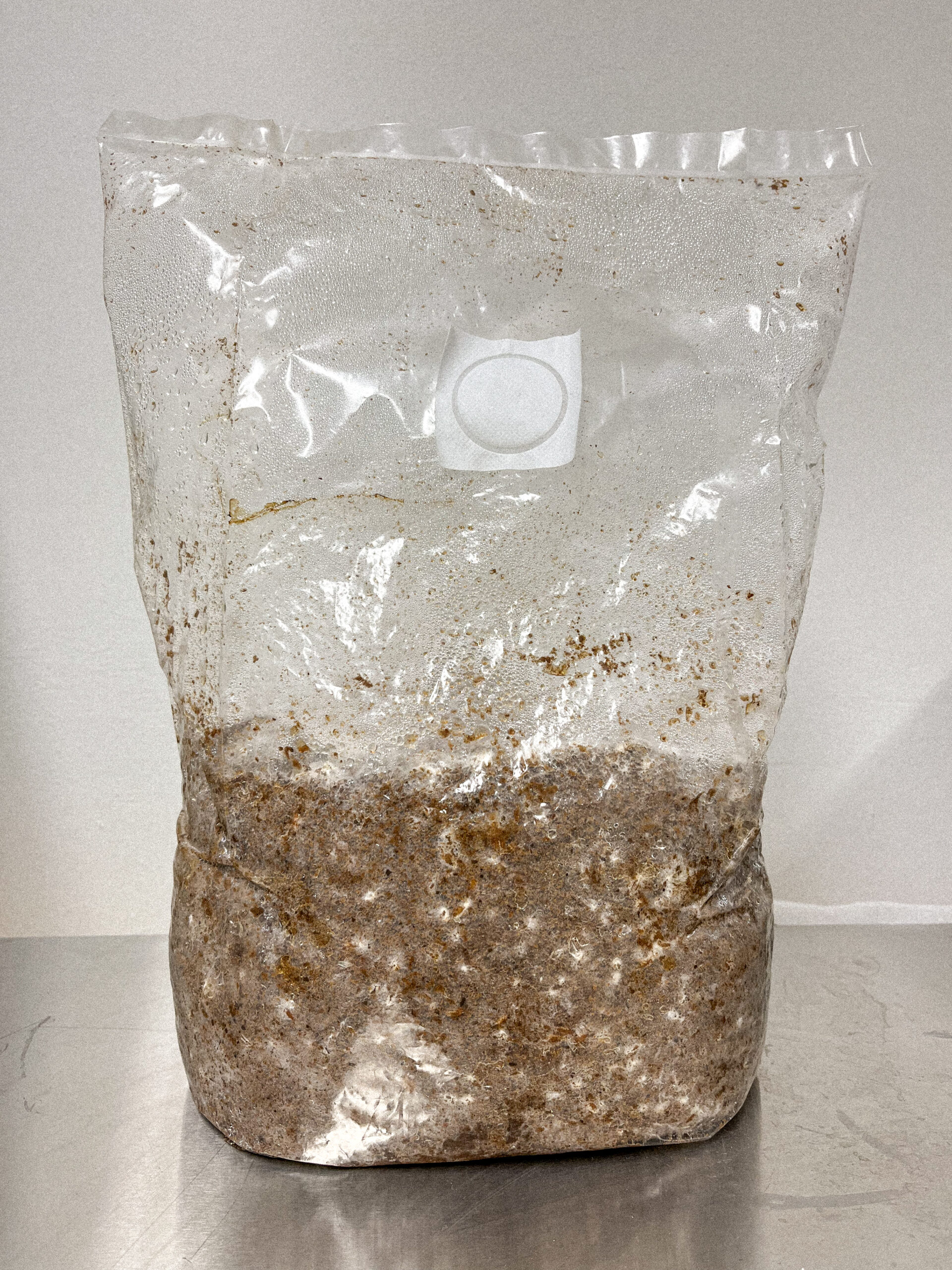 Ein Beutel mit Substrat und durchgewachsenem Myzel mit Lions Mane, Igelstachelbart, hergestellt von der Pilzfarm BetterMyco aus Würzburg