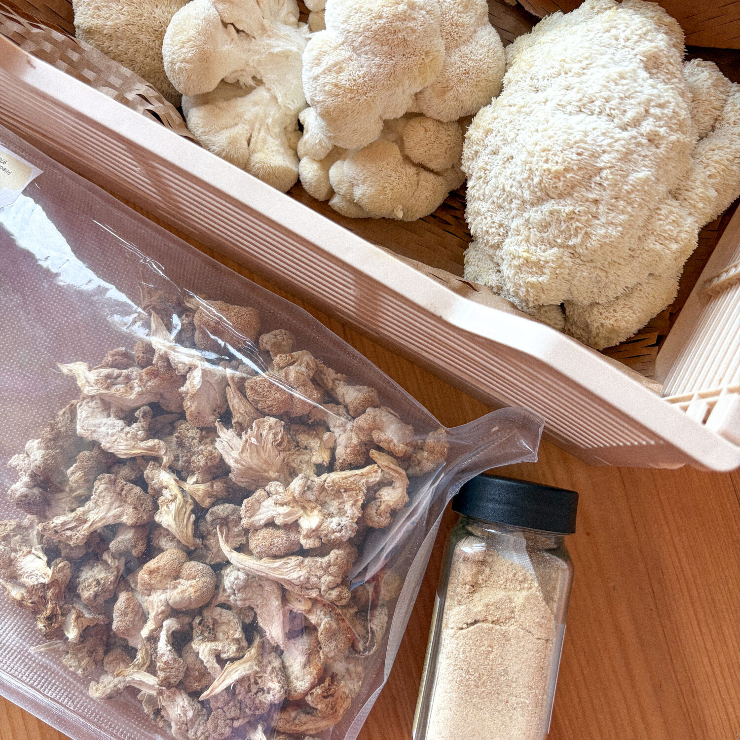 Probierpaket von BetterMyco mit frischen Lions Mane, Igelstachelbart, Pulver und getrockneten Lions Mane