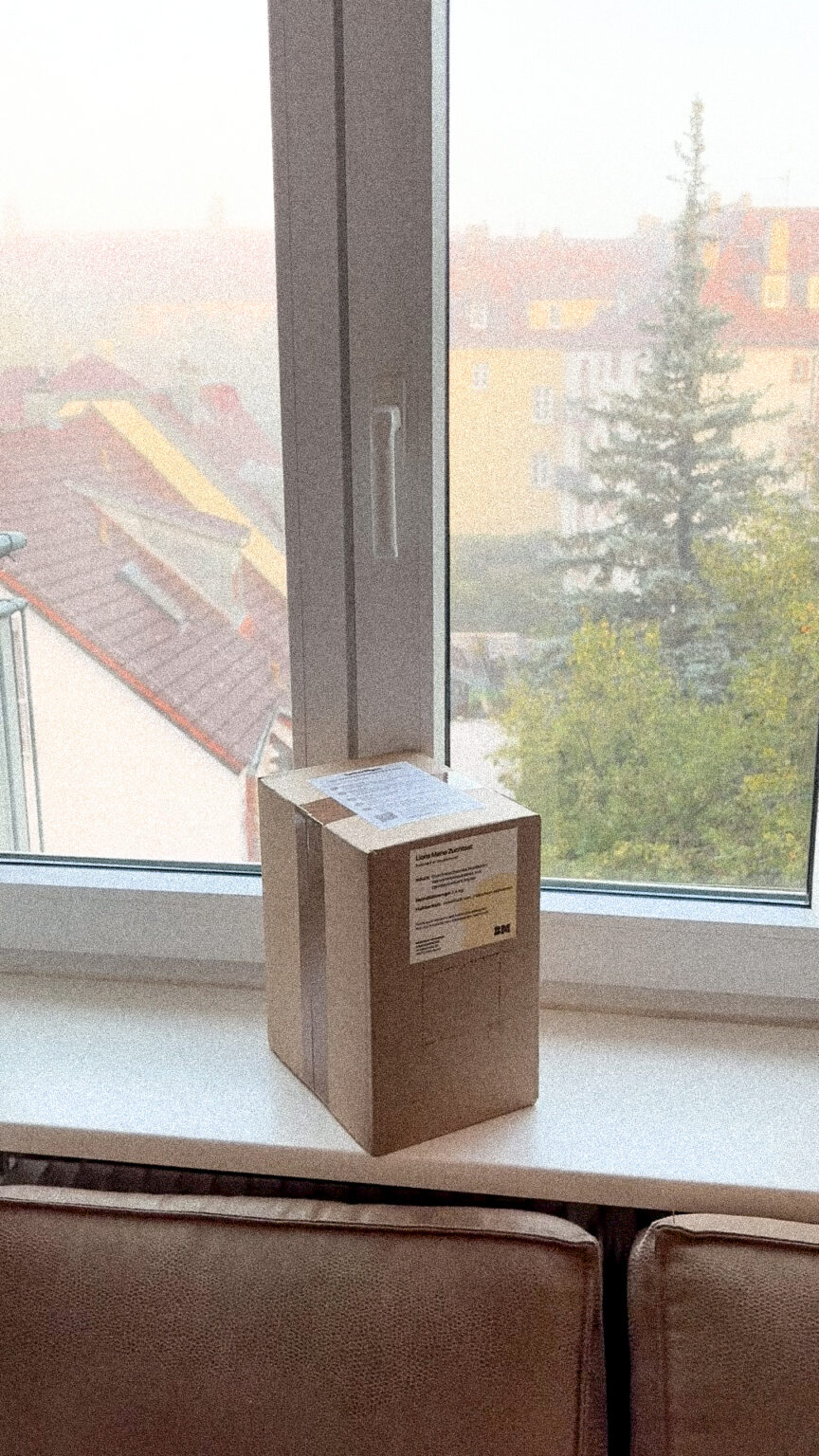 Standort für das Growkit und Pilzzuchtset für Lions Mane und Igelstachelbart von BetterMyco