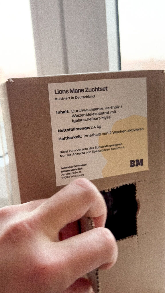 Eindrücken des Fensters vom Growkit und Pilzzuchtset für Lions Mane und Igelstachelbart von BetterMyco