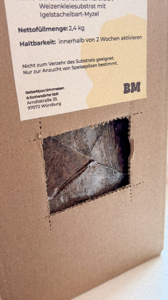 Einschitt vom Growkit und Pilzzuchtset für Lions Mane und Igelstachelbart von BetterMyco