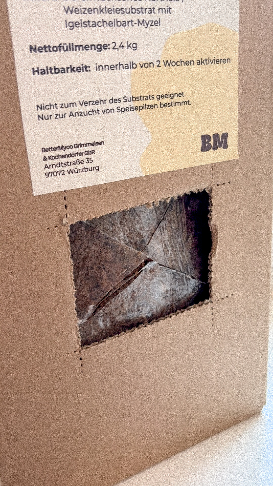 Einschitt vom Growkit und Pilzzuchtset für Lions Mane und Igelstachelbart von BetterMyco